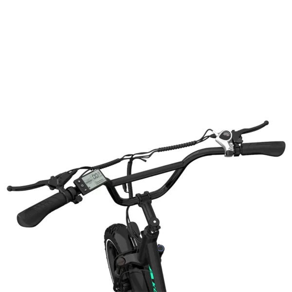 e-Why KL6S 250W Fat Tire Electric Bike – Powerful 48V Battery, All-Terrain Ride - Image 7